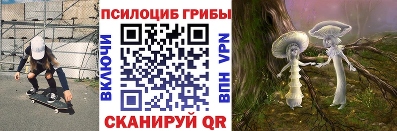 Галлюциногенные грибы Cubensis  Дедовск 
